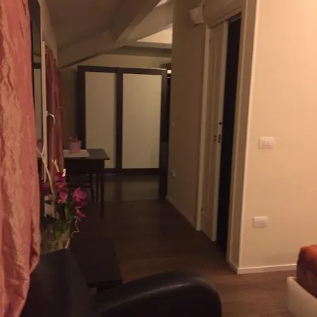 Modus Vivendi - E Relax 브리시그헬라