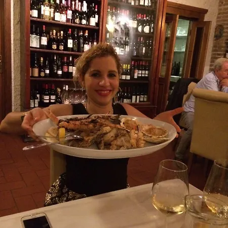 Modus Vivendi - E Relax 브리시그헬라