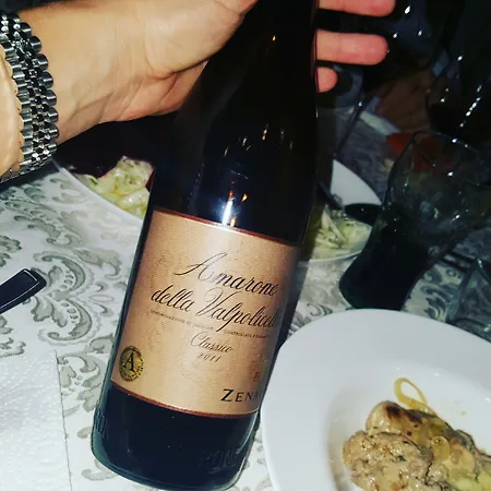 Modus Vivendi - E Relax 게스트하우스