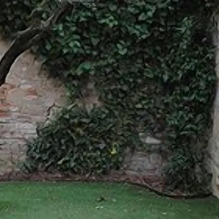 게스트하우스 Modus Vivendi - E Relax 4*